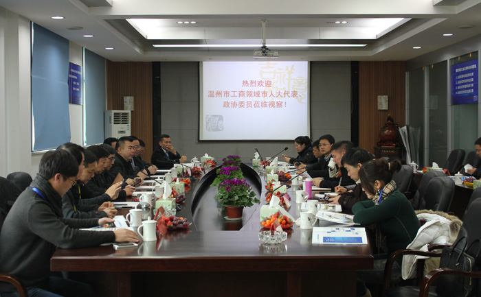 溫州市工商聯參政議政委員會調研“五水共治”